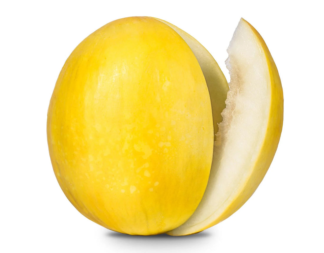 Yellow Cantaloupe Fruit Seeds for Planting