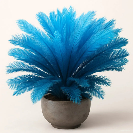 Blue Cycas flower seeds