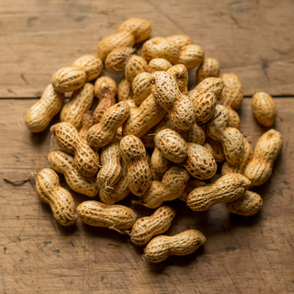 Peanut Crop plant