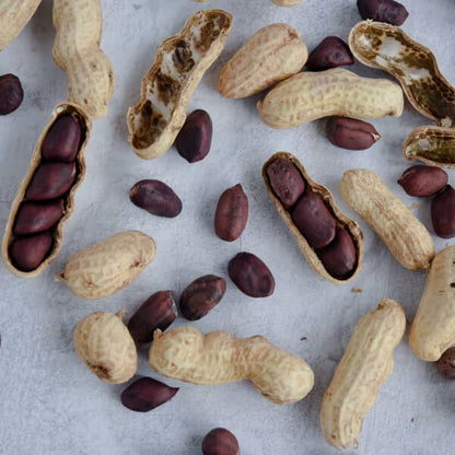 Brown Shell Peanut plant