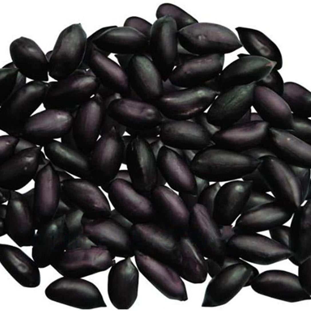 Black Peanut plant