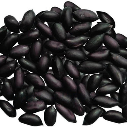 Black Peanut plant