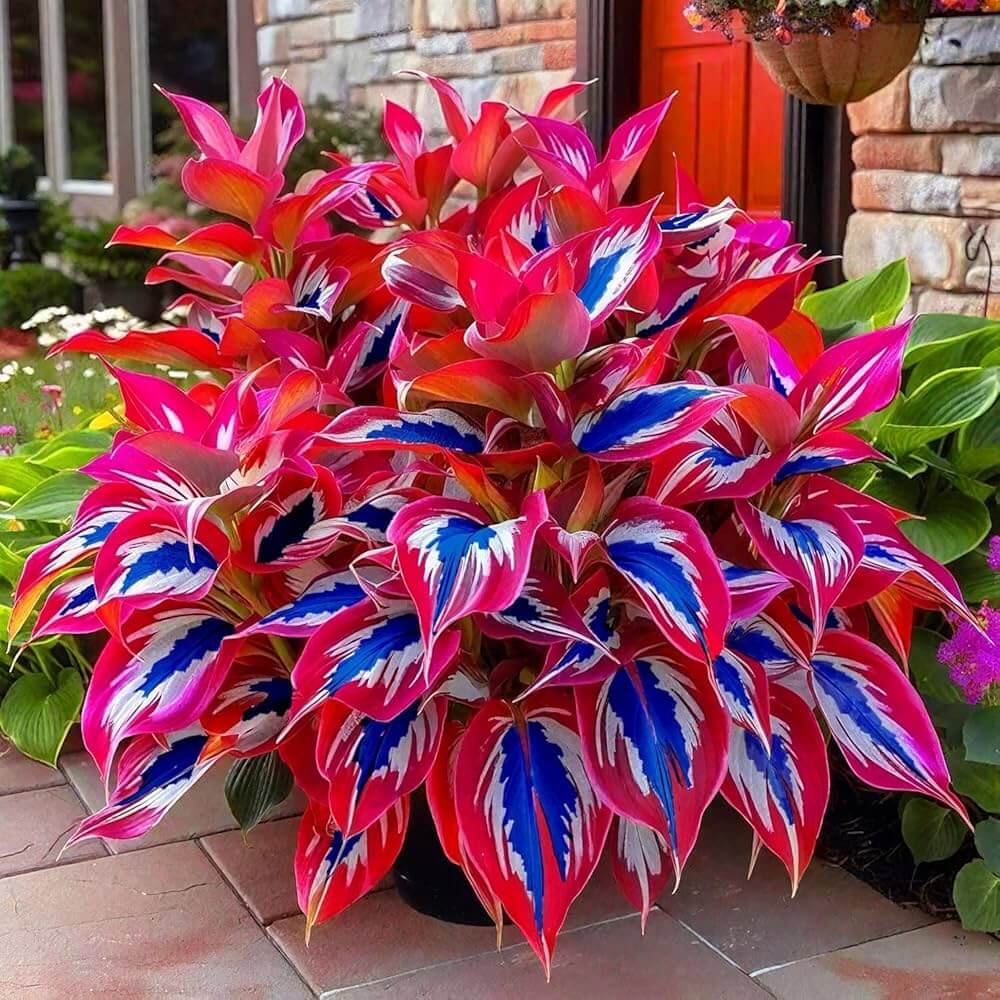 Flower Collection Kit plant