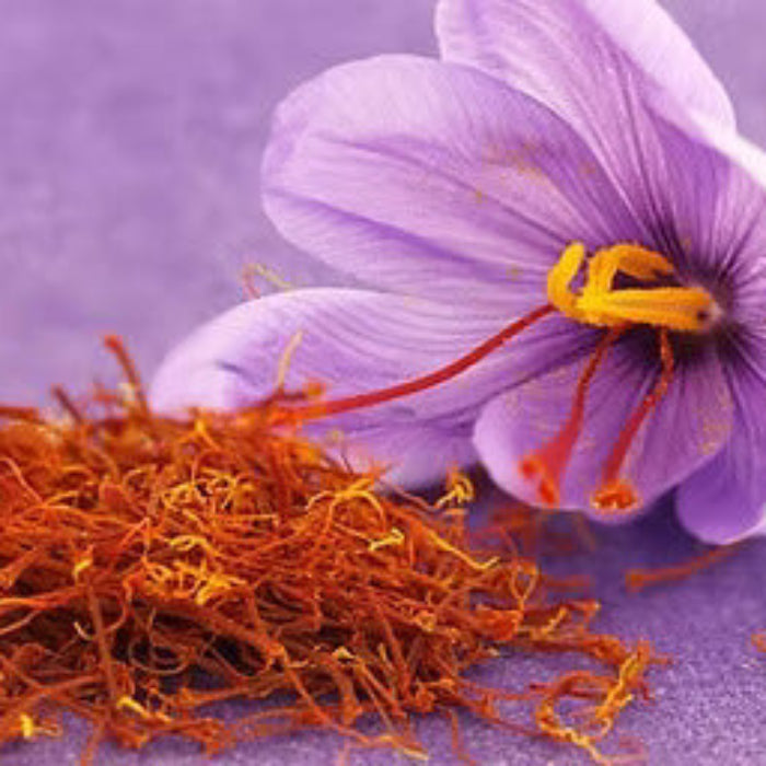 Red Crocus plant