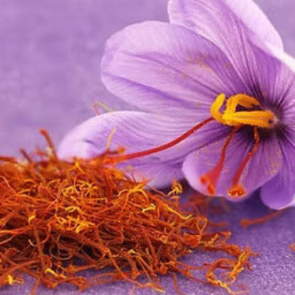 Red Crocus plant