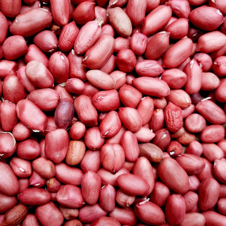 Red Skin Peanut plant