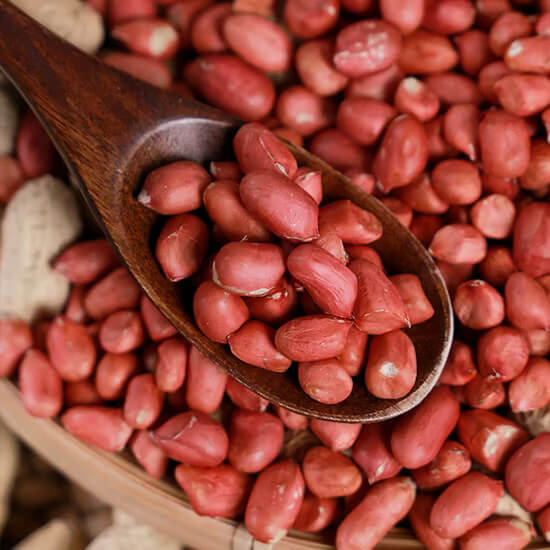 Red Skin Peanut plant