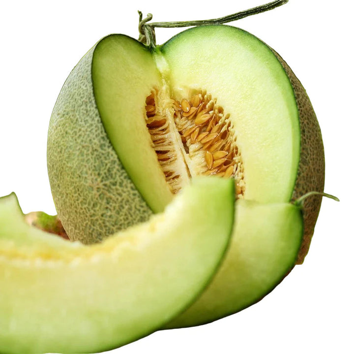 Rocky Ford Cantaloupe Seeds for Growing – Heirloom Non-GMO Garden Seeds