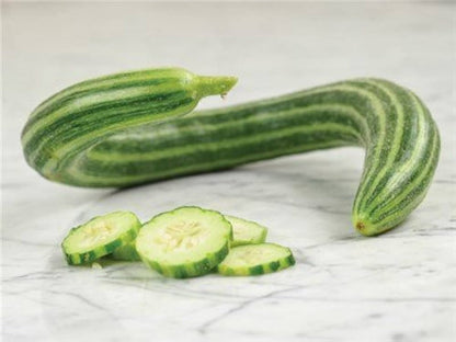 Snake gourd plant with long green fruits growing on a garden trellis