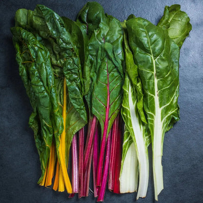 Rainbow Swiss Chard Seeds for Planting – Heirloom Non-GMO Garden Seeds
