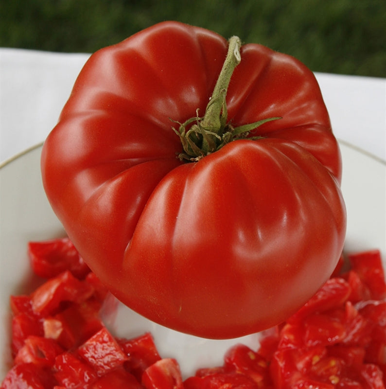 Aussie Tomato Vegetable Seeds for Planting – Heirloom Non-GMO Garden Seeds