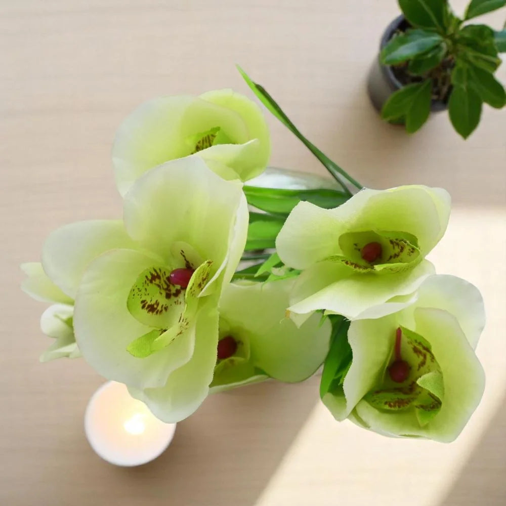Light Green flower seeds