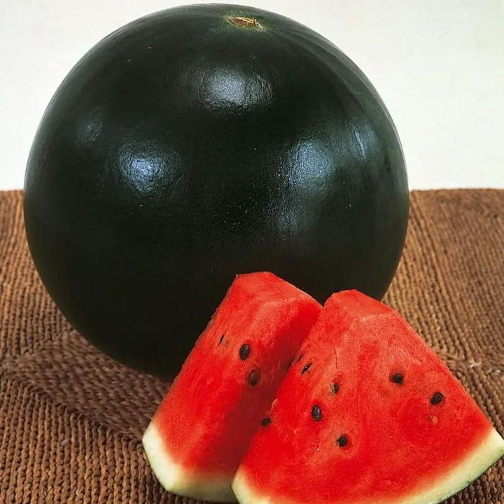black watermelon seeds