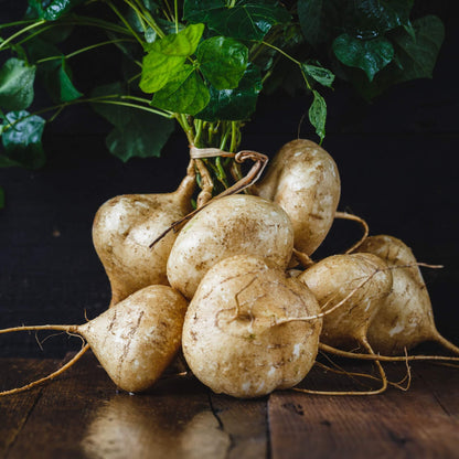 Yam Bean Vegetable Seeds for Planting – Jicama Root Vegetable Seeds for Home Gardens