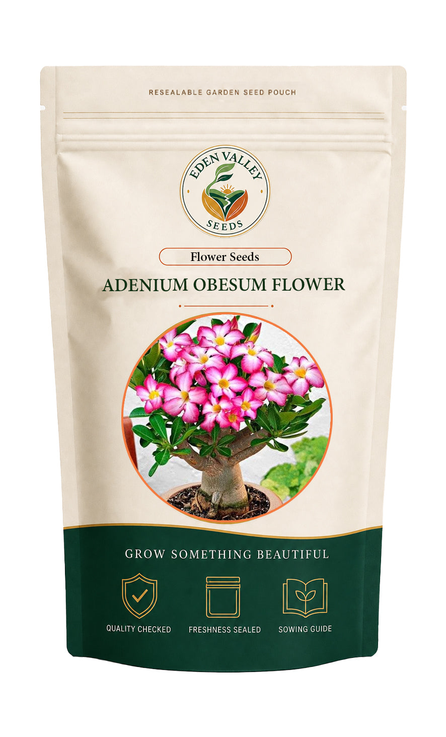 Adenium Obesum flowers blooming in a garden