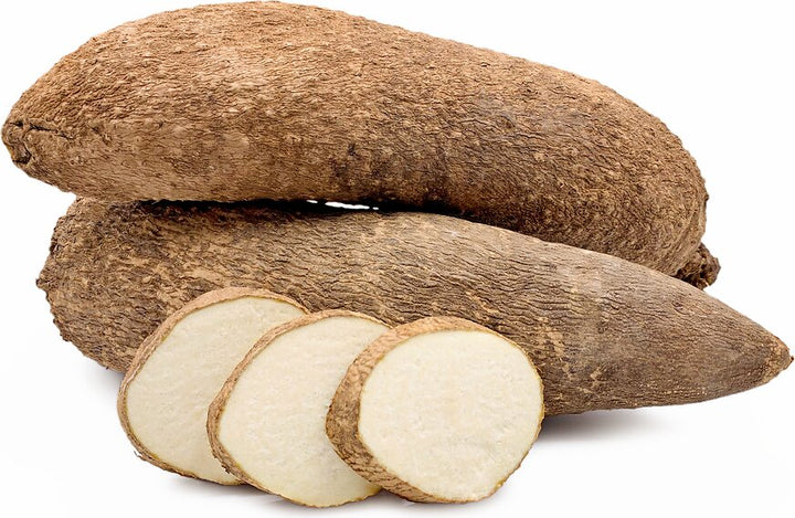 African Yam Bean Seeds for planting with climbing vines, seed pods, and underground tubers
