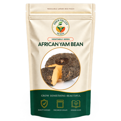 African Yam Bean Seeds for planting