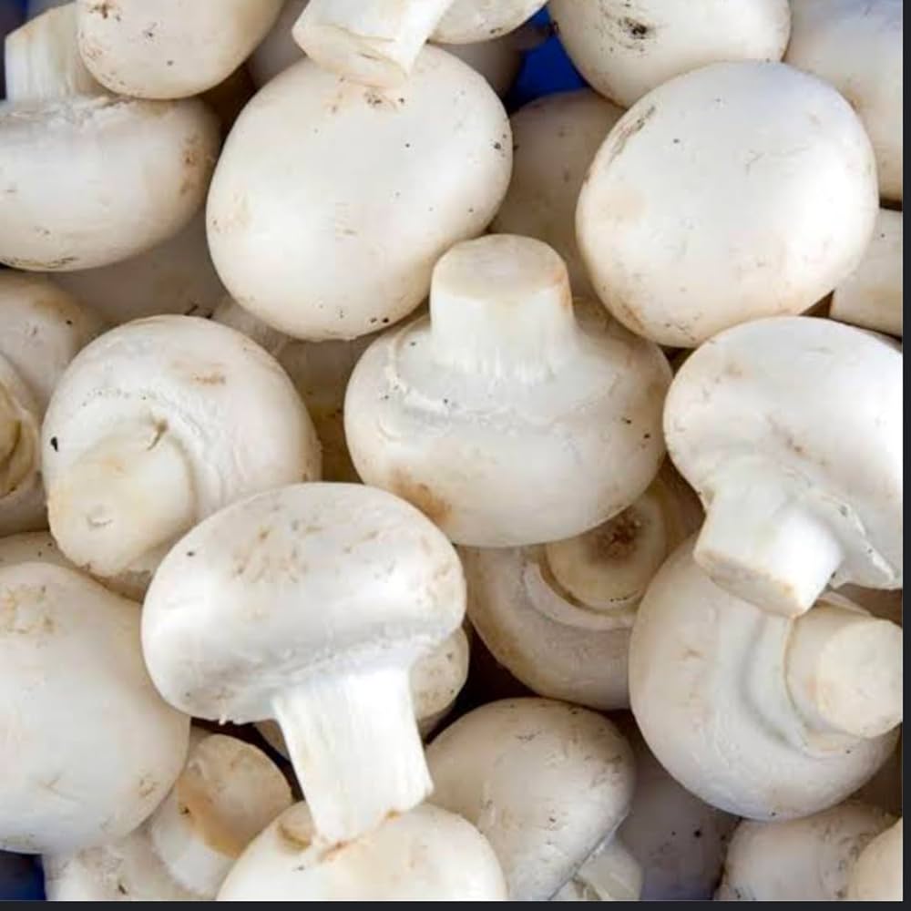Button Mushroom Seeds