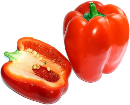 Ajito Pepper Seeds