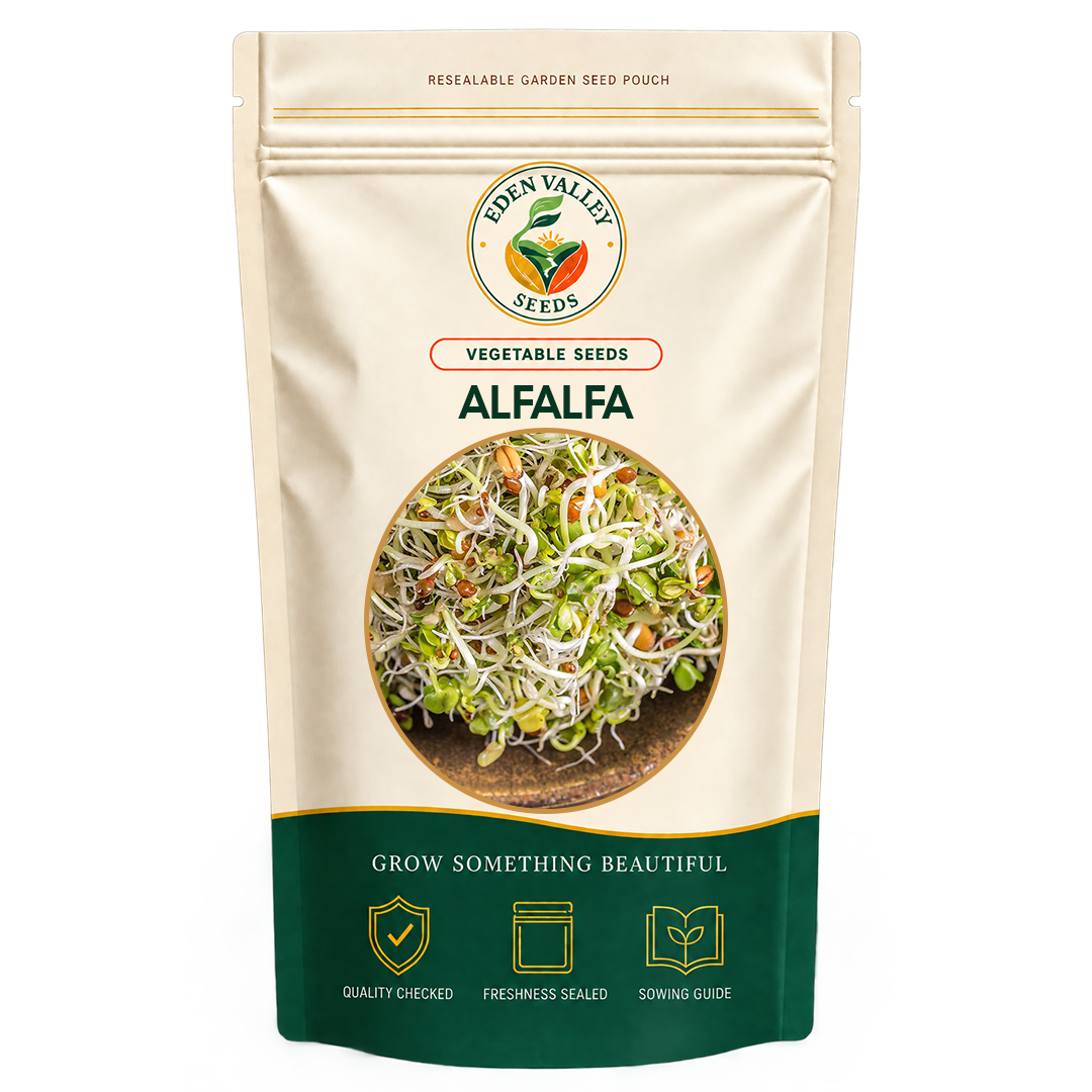 Alfalfa Heirloom Seeds with slender green foliage for garden planting