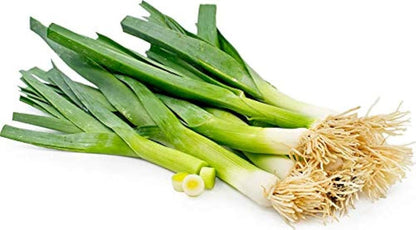 Casimir Leek Vegetable Seeds for Planting – Heirloom Non-GMO Garden Seeds