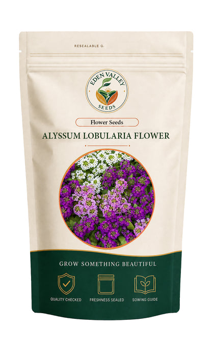 Alyssum Lobularia Flower Seeds for planting