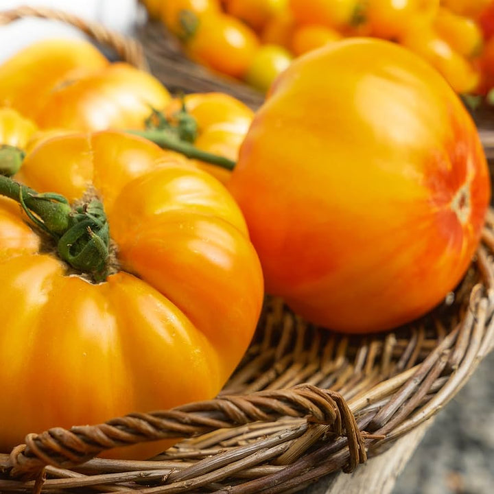 Amana Orange Tomato Seeds
