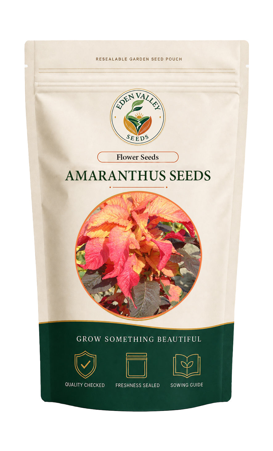 Amaranthus Illumination Flower Seeds for planting