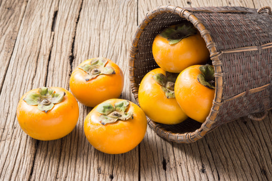 American Persimmon Fruit Seeds for Planting – Heirloom Non-GMO Garden Seeds