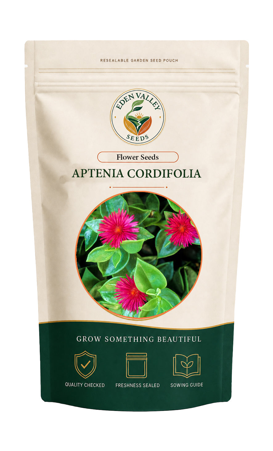 Aptenia Cordifolia Flower Seeds for planting