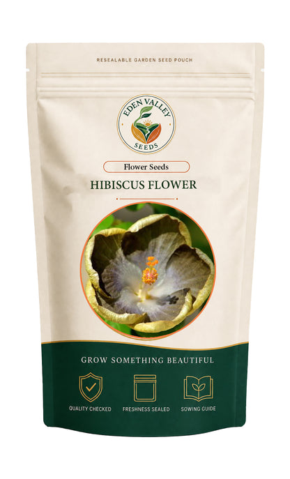 Army Green Hibiscus flowers blooming in a garden