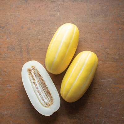 asian apple melon seeds