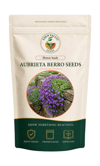 Aubrieta Berro flower seeds for planting with colorful blooming flowers
