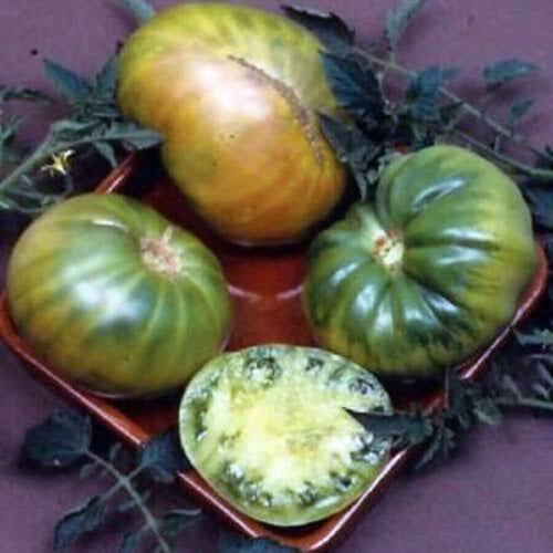 Aunt Ruby's German Green Tomato Seeds for Planting – Large, Juicy Green Heirloom Beefsteak Tomatoes for Home Gardens