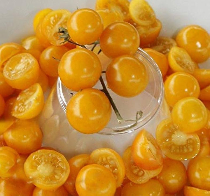 Aunt Ruby's Cherry Tomato Seeds
