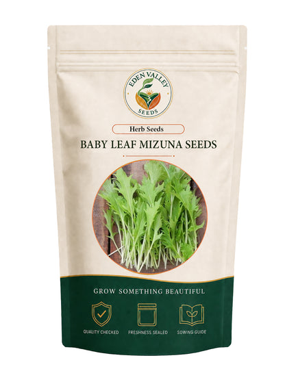 Baby Leaf Mizuna Seeds for Planting with tender, frilly green leaves