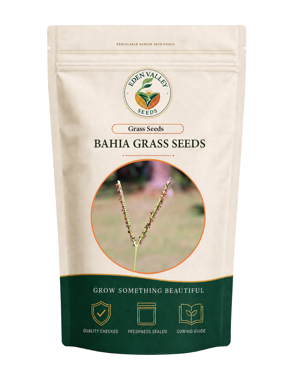 Bahia Grass Seeds for Planting for growing lush green lawn grass