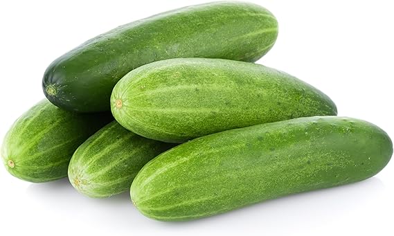 Balcony Cucumber Seeds for Planting – Heirloom Non-GMO Garden Seeds