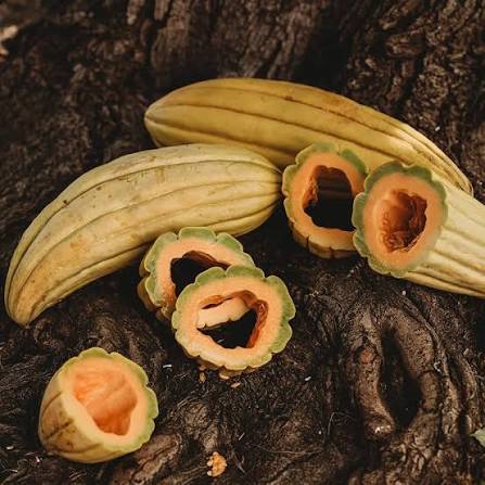 Banana Cantaloupe with Aromatic Orange Flesh
