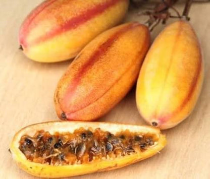 Banana Passion Fruit Passiflora Mollissima Flower Seeds for Planting