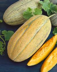 Gold Banana Melon Fruit Seeds for Planting for Growing Elongated Golden Melons