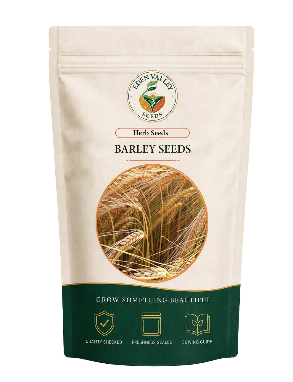 Barley Seeds for Planting with tall green grass-like growth