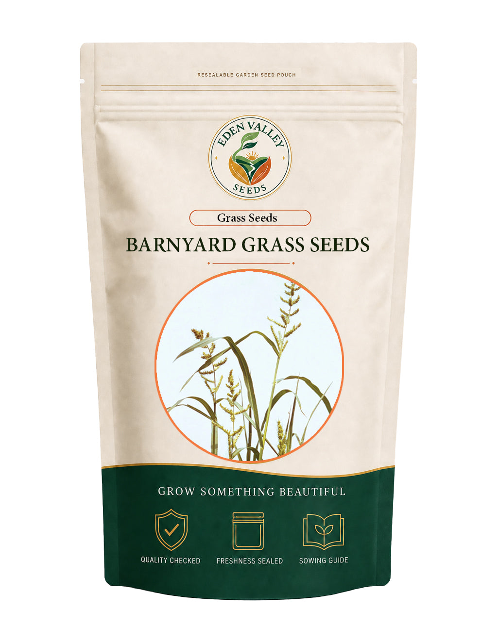 Barnyard Grass Seeds for Planting for growing green ornamental grass
