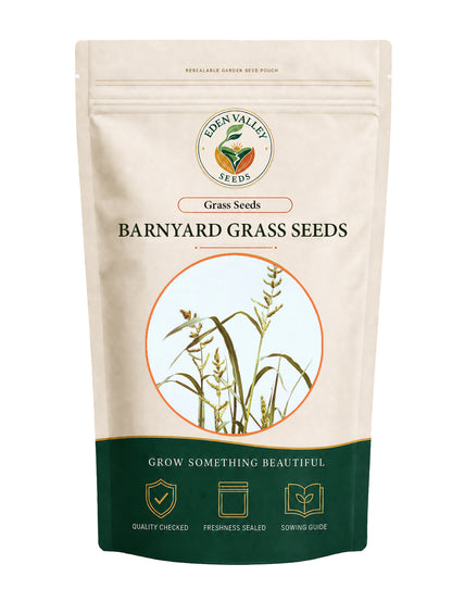 Barnyard Grass Seeds for Planting for growing green ornamental grass