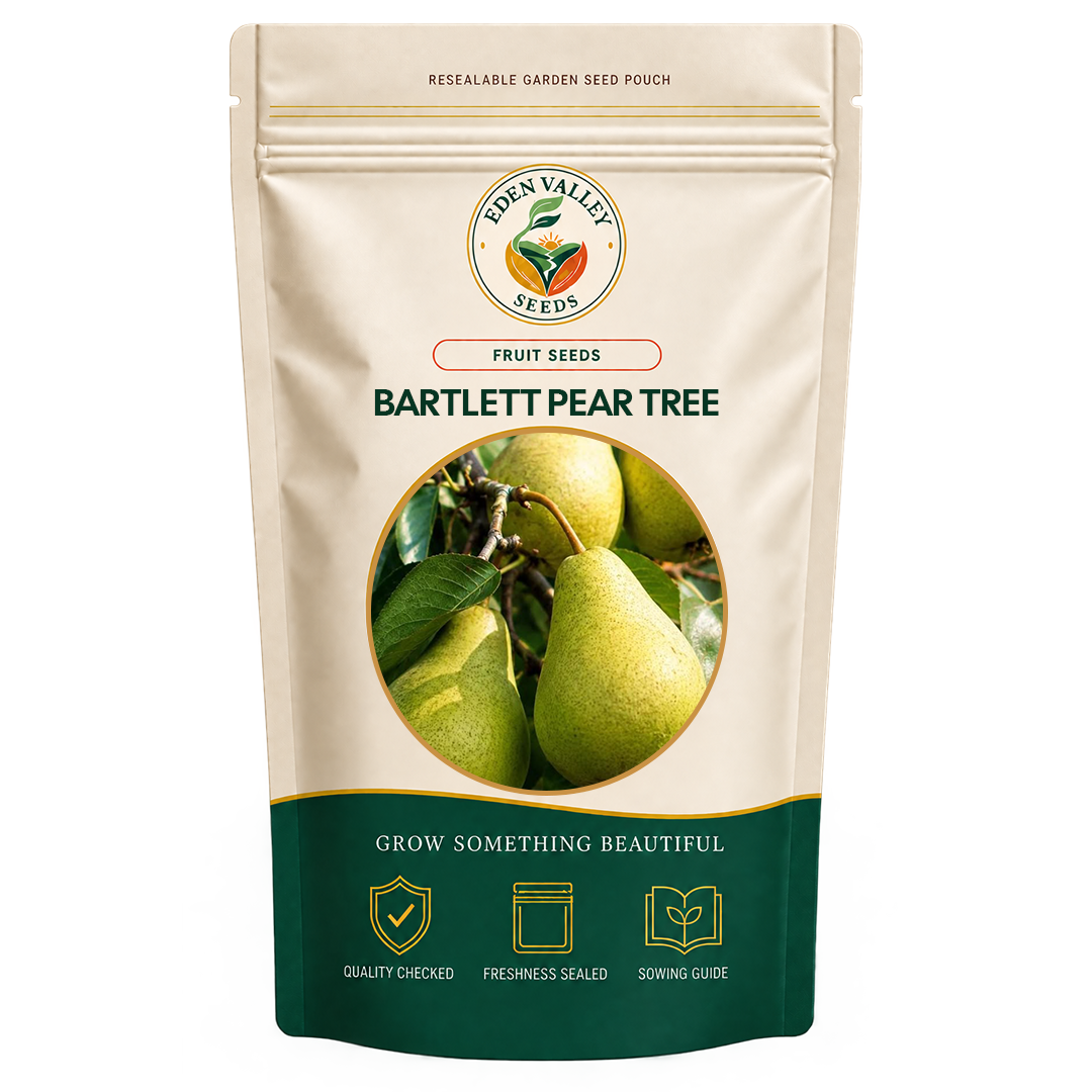 Bartlett Pear Tree growing in a garden