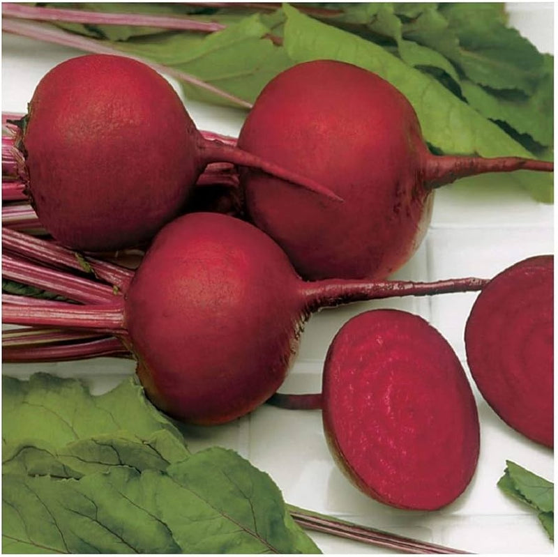 Beetroot Vegetable Seeds for Planting – Heirloom Non-GMO Garden Seeds
