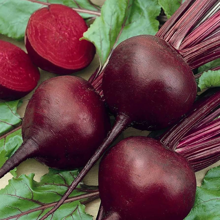 Beetroot Seeds