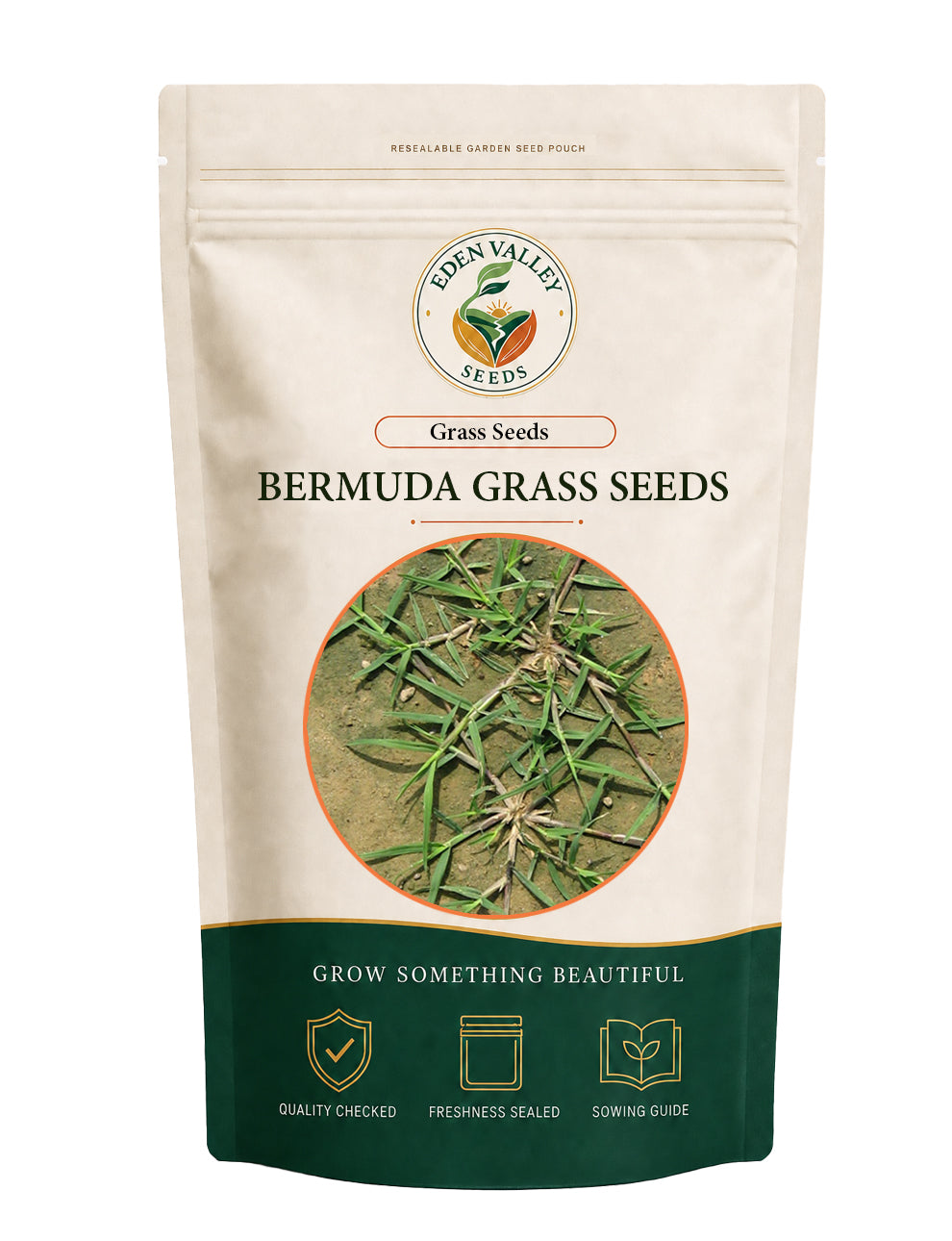 Bermuda Grass Seeds with fine green blades for home lawns and garden spaces