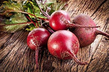 Sugar Beet Vegetable Seeds for Planting – Heirloom Non-GMO Garden Seeds