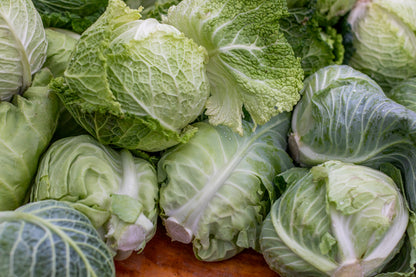 Sour Cabbage Vegetable Seeds for Home Gardens and Fresh Harvests